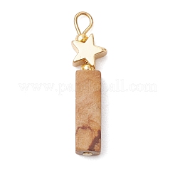 Natural Crazy Lace Agate/Map Stone/Flower Amazonite/Wood Lace Stone Rectangle Pendants&nbsp;PALLOY-JF02971