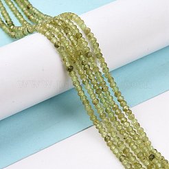 Natural Peridot Beads Strands&nbsp;G-E591-05