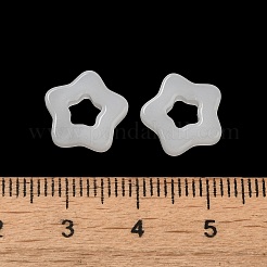 Handmade Lampwork Beads&nbsp;LAMP-P060-02C