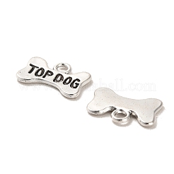 Tibetan Style Alloy Pendants&nbsp;FIND-C043-035AS