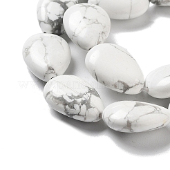 Natural Howlite Beads Strands&nbsp;G-P528-L16-01
