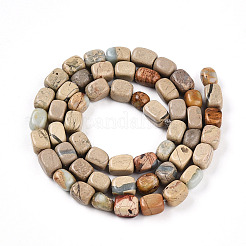 Natural Shoushan Stone Beads Strands&nbsp;G-N346-04A-07
