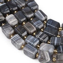 Natural Botswana Agate Beads Strands&nbsp;G-P611-A01-02