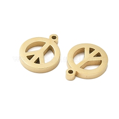 304 Stainless Steel Charms&nbsp;STAS-L022-137G