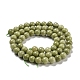 Natural Alashan Agate Beads Strands&nbsp;G-E598-03A-3