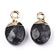 Natural Larvikite Charms&nbsp;G-N326-58A-3