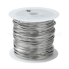 Non-Tarnish 316 Surgical Stainless Steel Wire, for Jewelry Making, Stainless Steel Color, 20 Gauge, 0.8mm, about 26.24 Feet(8m)/roll