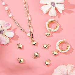 10Pcs Rack Plating Brass Pendants&nbsp;KK-PH0013-16