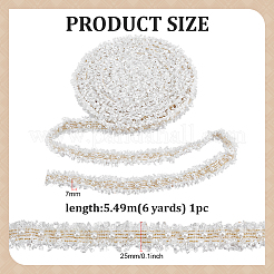 6 Yards Polyester Lace Trim&nbsp;OCOR-WH0070-849B