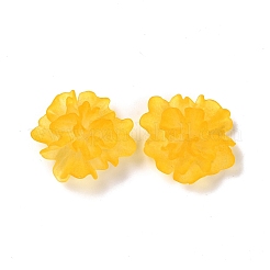 Transparent Resin Cabochons&nbsp;LS-RESI-G027-01C