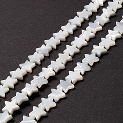 Natural Trochid Shell/Trochus Shell Beads&nbsp;SSHEL-O001-25C-02