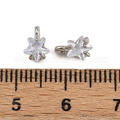 Rack Plating Brass Micro Pave Cubic Zirconia Charms&nbsp;LS-KK-H449-46P