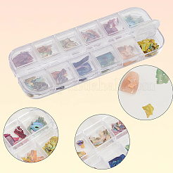 1 Set 12 Colors Shell Slices&nbsp;MRMJ-SP0001-05A