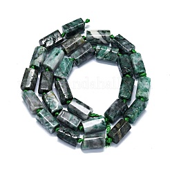 Natural Dioptase Beads Strands&nbsp;G-O170-156