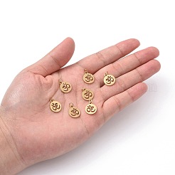 304 Stainless Steel Charms&nbsp;LS-STAS-Q201-T446G