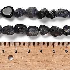 Natural Iolite Beads Strands&nbsp;G-P497-01E-01