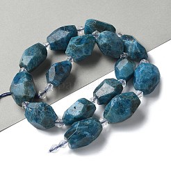 Natural Apatite Beads Strands&nbsp;G-H095-A04-01