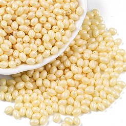 Baking Paint Glass Seed Beads&nbsp;SEED-C004-04A