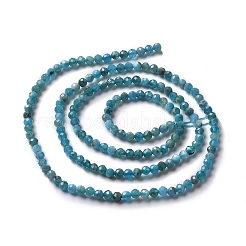 Natural Apatite Beads Strands&nbsp;G-E411-36-2mm-01