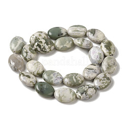 Natural Peace Jade Beads Strands&nbsp;G-B078-F01-01