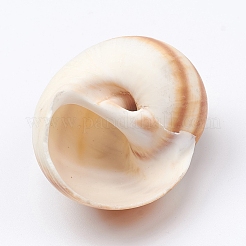Hermit Crab Shells&nbsp;SSHEL-WH0001-15D