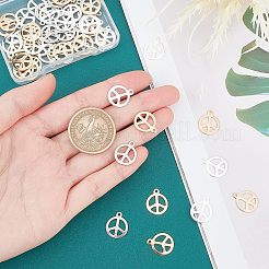 60Pcs 3 Colors 304 Stainless Steel Pendants&nbsp;STAS-UN0028-38