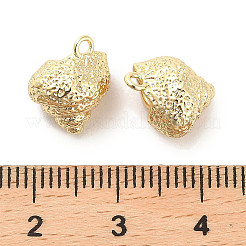 Brass Charms&nbsp;KK-C054-09G