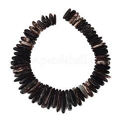 Natural Biotite Beads Strands&nbsp;G-Q616-06A
