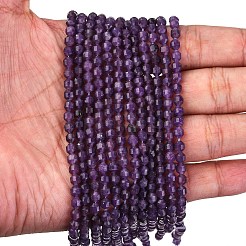 Natural Lepidolite/Purple Mica Stone Beads Strands&nbsp;G-A260-A04-01
