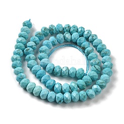 Dyed Natural Howlite Beads Strands&nbsp;G-G023-A01-01A