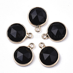Natural & Synthetic Mixed Gemstone/Glass Charms&nbsp;G-N326-49