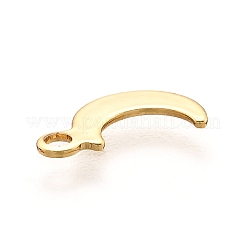 201 Stainless Steel Charms&nbsp;X-STAS-B001-11G