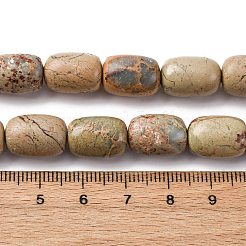Natural Aqua Terra Jasper Beads Strands&nbsp;G-L624-C03-14x10mm