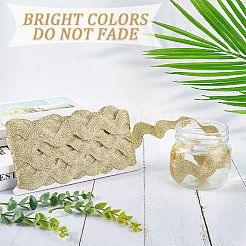10 Yard Metallic Polyester Wavy Fringe Trim Ribbon&nbsp;SRIB-GF0001-38T