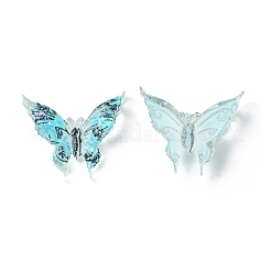 Transparent Resin Cabochons&nbsp;RESI-E039-13