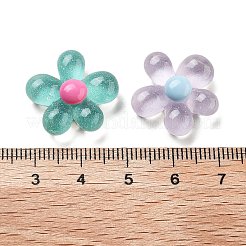 Translucent Resin Decoden Cabochons&nbsp;RESI-B027-01
