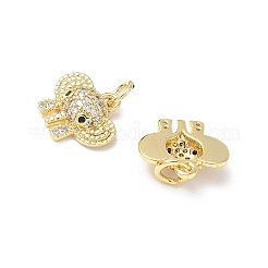 Brass Micro Pave Cubic Zirconia Charms&nbsp;KK-L253-10G