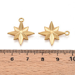 304 Stainless Steel Pendants&nbsp;STAS-N109-103G