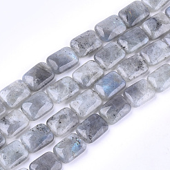 Natural Labradorite Beads Strands&nbsp;G-T121-13