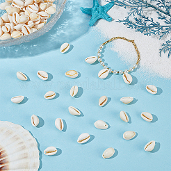 240G Natural Cowrie Shell Pendants&nbsp;BSHE-ME0001-07