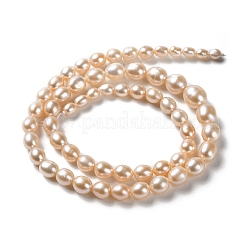 Natural Cultured Freshwater Pearl Beads Strands&nbsp;PEAR-E018-83