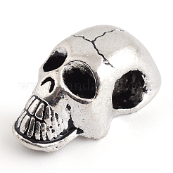 Tibetan Style Alloy Beads&nbsp;TIBE-S298-069AS-FF