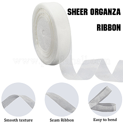 1 Rolls Sheer Organza Ribbon&nbsp;SRIB-CY0001-22A-03