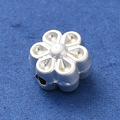 Rack Plating Alloy Beads&nbsp;FIND-C062-06A-S