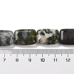 Natural Indian Agate Beads Strands&nbsp;G-T047-B25-01