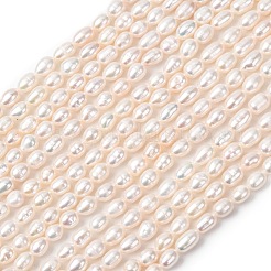 Natural Cultured Freshwater Pearl Beads Strands&nbsp;PEAR-F020-03