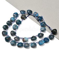 Natural Apatite Beads Strands&nbsp;G-C292-A06-01