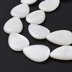 Natural Freshwater Shell Beads Strands&nbsp;SHEL-H001-12