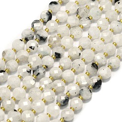 Natural Rainbow Moonstone Beads Strands&nbsp;G-K389-B78-01