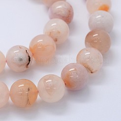 Natural Cherry Blossom Agate Beads Strands&nbsp;G-I206-01-10mm
